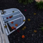 Polycarbonate Window Well Cover and leaves